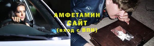МДПВ Пересвет